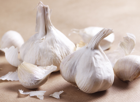 Knoblauch