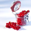 Johannisbeere_0007