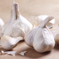 Knoblauch