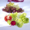 Salat_8